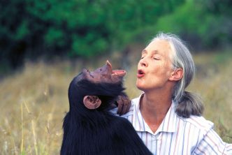 HS11 jane goodall 1