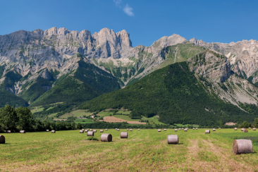 112 corovacances provence alpes cote d azur ∏ Shutterstock