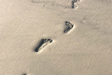 footprints on brown sand