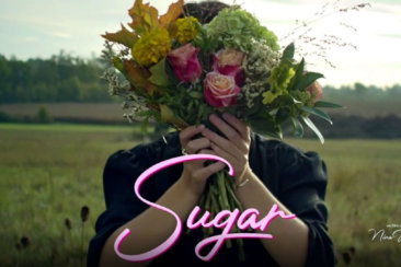 sugar 5245234