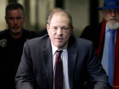 har­vey weinstein