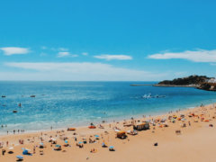 people near seashore during daytime