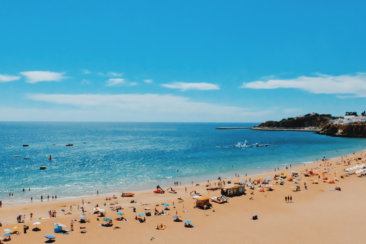 people near seashore during daytime