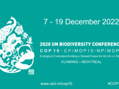 COP15