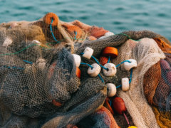 white and gray fish net