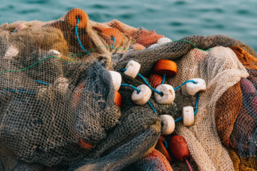 white and gray fish net