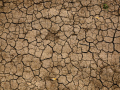 brown and black concrete floor