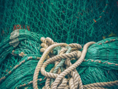 brown rope on green net