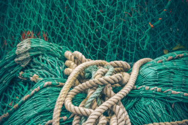 brown rope on green net