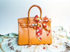 Hermes_​Ostrich_​Birkin_​Bag