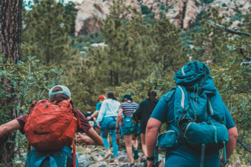 a group of people hiking through a forest