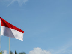 red and white flag under blue sky during daytime