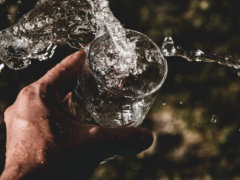 person holding drinking glass filled with water