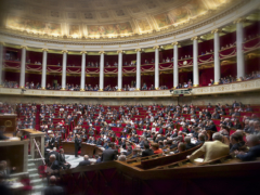 ivg Assemblée Nationale vote – jan­vier 2024