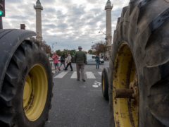 Salon de l'Agriculture 2024