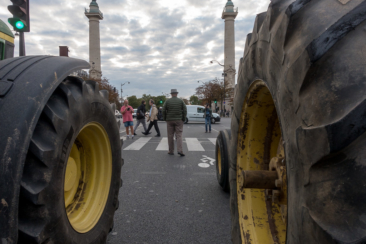 Salon de l'Agriculture 2024