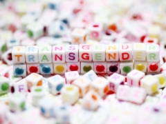 Cubes Spelling the Word Transgender