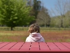 a little girl sitting at a red picnic table