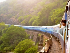 moving train near trees