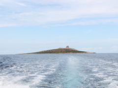 Isola delle Femmine, Stefania Galegati